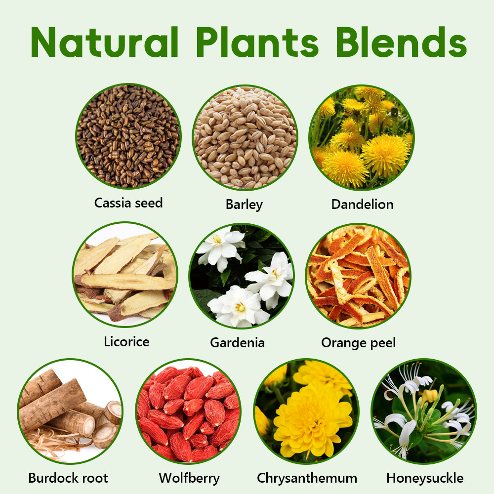 Lung Cleanse Herbal Tea for Smokers, Natural Detox & Respiratory Support 30 Bag