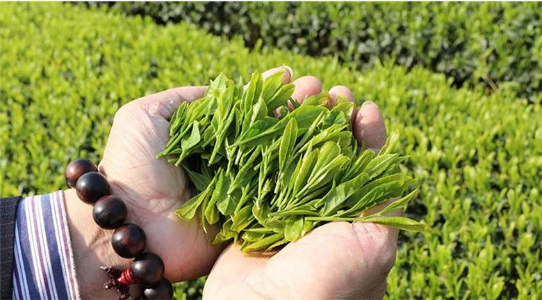 West Lake Longjing Green Tea Gift Box Natural Premium Chinese Food