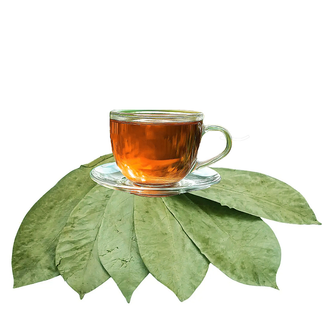 Purelife Herbs® Soursop Leaves Tea, 100 Whole Dried Leaves, Wildcrafted Graviola