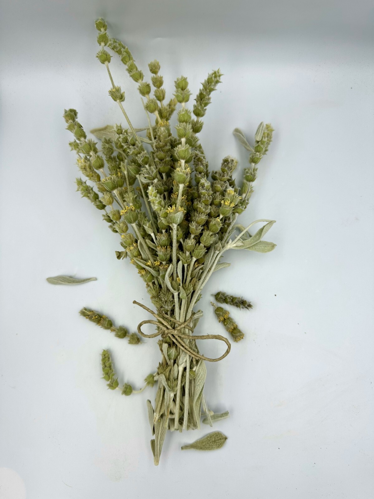 Greek Mountain Tea Sideritis Syriaca – Malotira Cretan Tea 70g-4.9kg