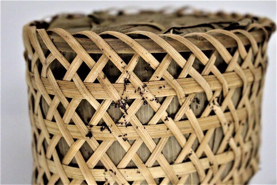 1980’s Liu An Anhui Province 500 g basket Tea with old ginseng flavor Raw (Sheng