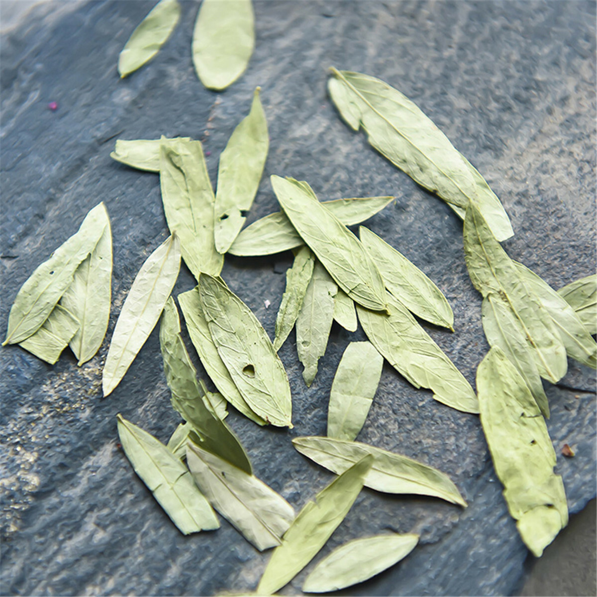 Senna Leaf Herbal Tea Natural Dried Leaf Pure Plant Based Wellness Tea