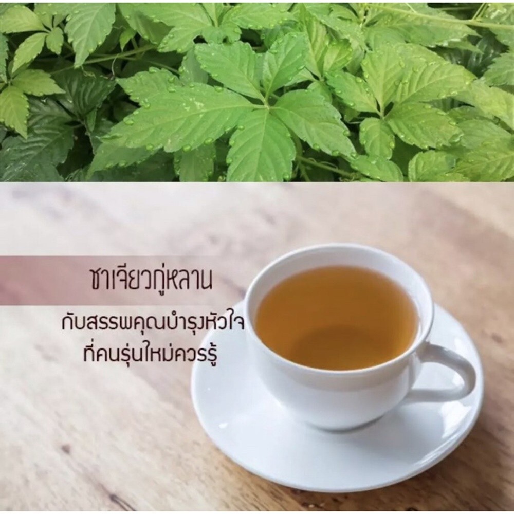 Jiaogulan Herbal Tea 30 Sachets Gynostemma Pentaphyllum Thai Natural