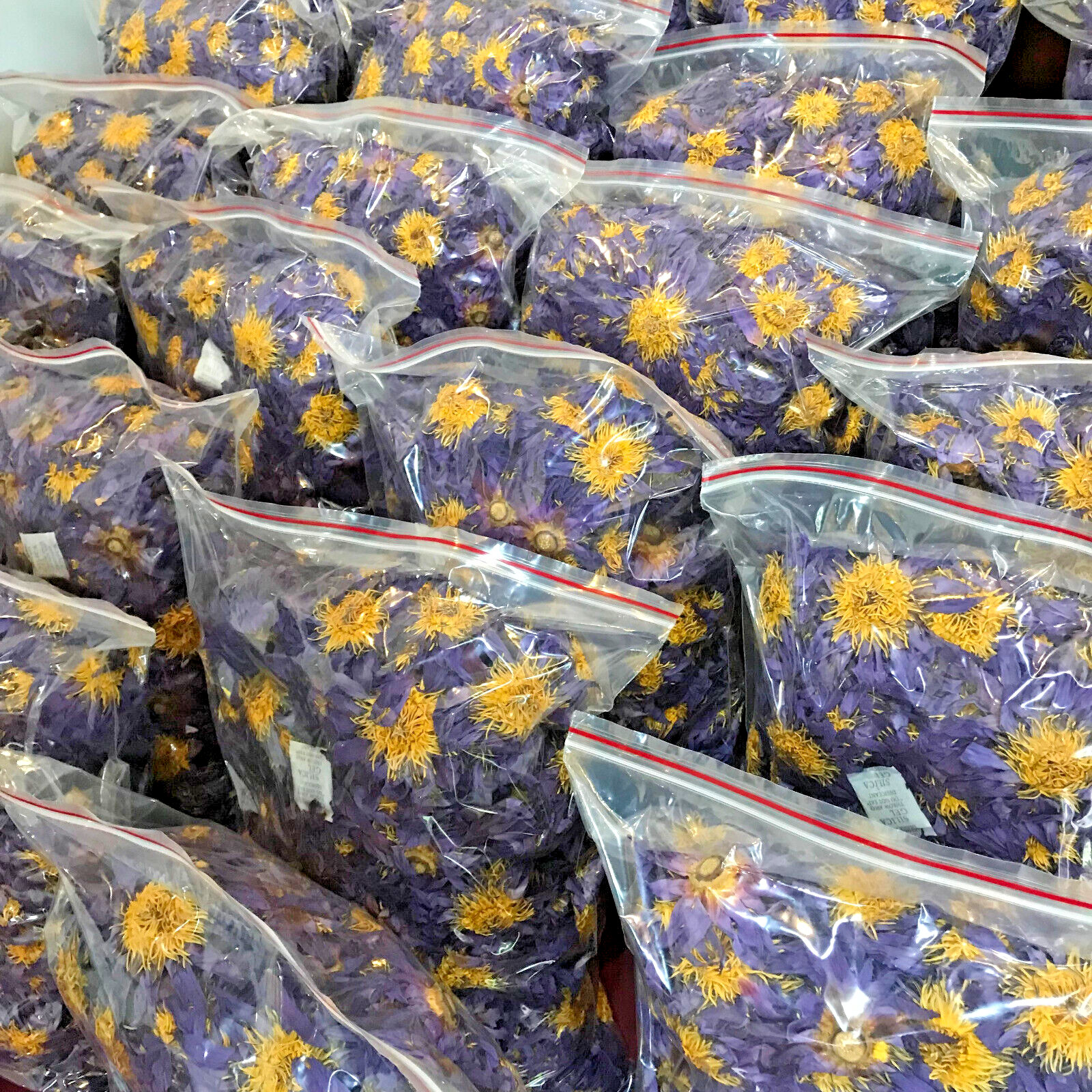 5kg Dried Blue Lotus |Nymphaea Caerulea| Sacred Egyptian Lily Organic Ceylon Tea