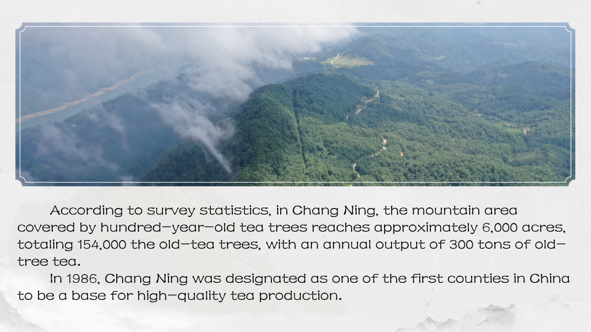 Yunnan Changning Pu-erh Tea/Compressed & Squared Raw Tea/Easy to carry and break