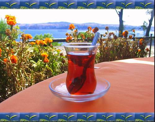 Turkish tea Cay Rich Rize most Famous Brand In Turkey 500gr AUTHENTIC, ORIGINAL