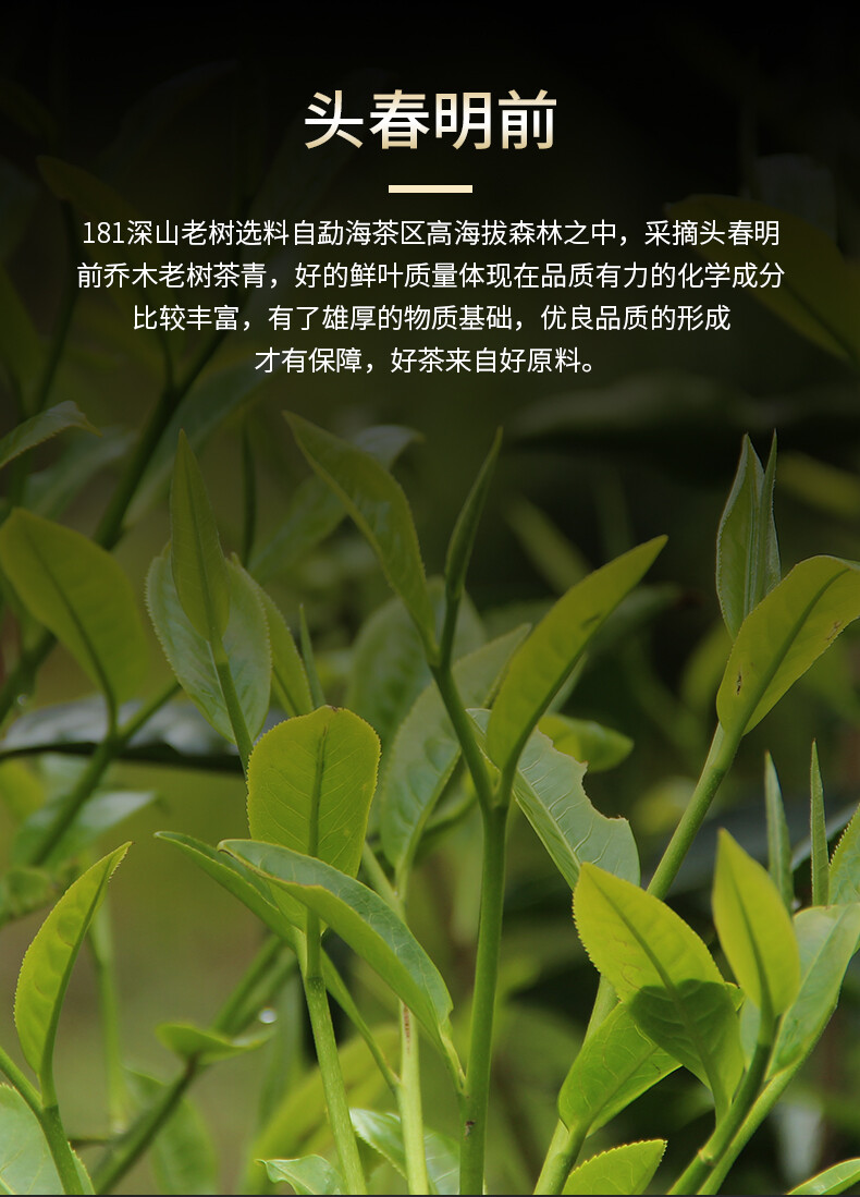 Chinese Haiwan 2018 Shen Pu’er Tea Batch 181 Shen Shan Lao Shu Raw Puer Tea 500g