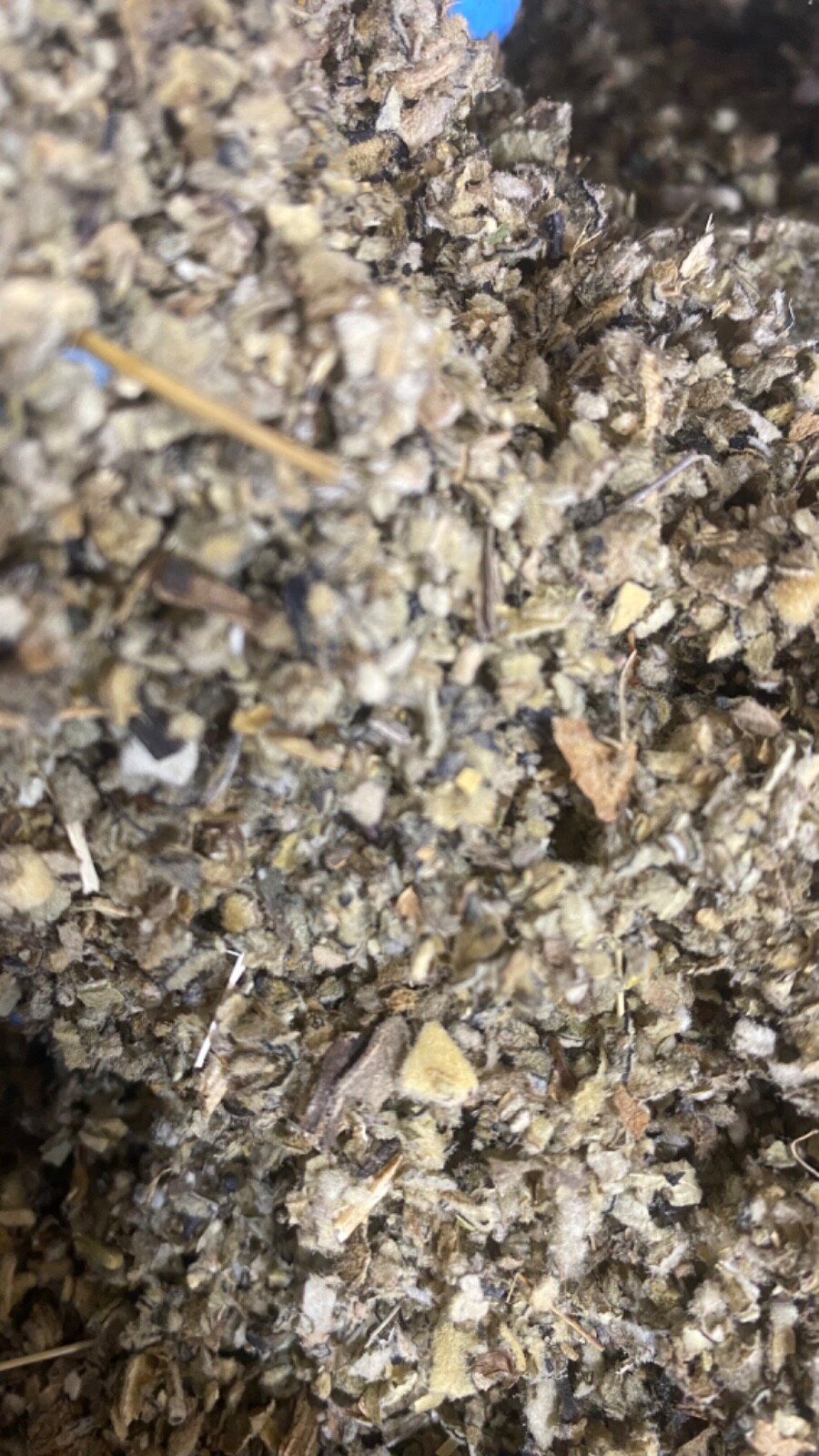 Mullein Leaf Herb – organic medicinal healing lung cut botanical – 3/4 LB Pound
