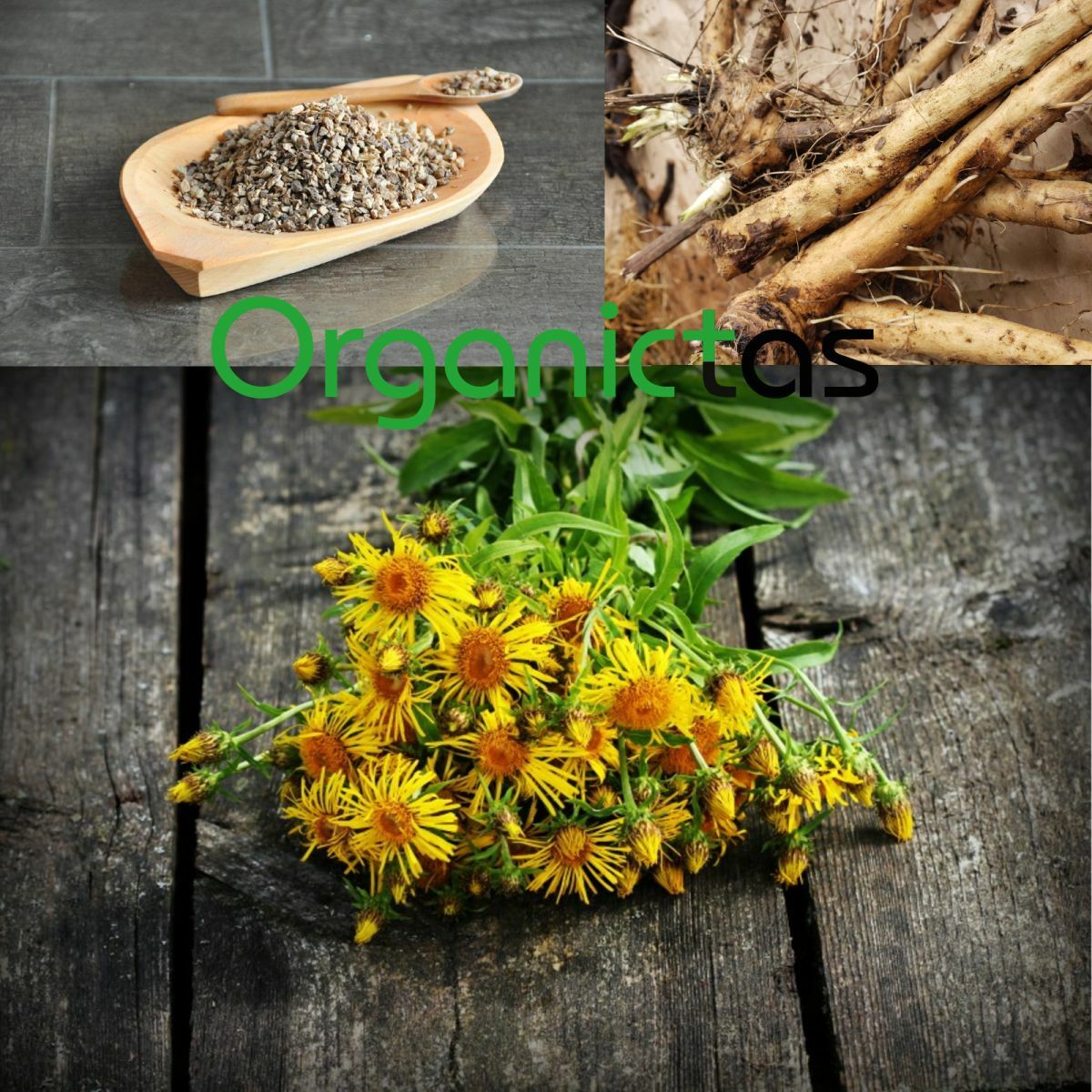 ELECAMPANE ROOT organic Herbal Tea Premium Quality Loose Cut Inula Helenium