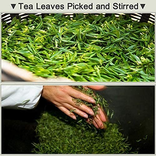 Dragonwell Longjing Tea(Yu Qian),Fresh West Lake Dragon Well Green Tea Leaf P…