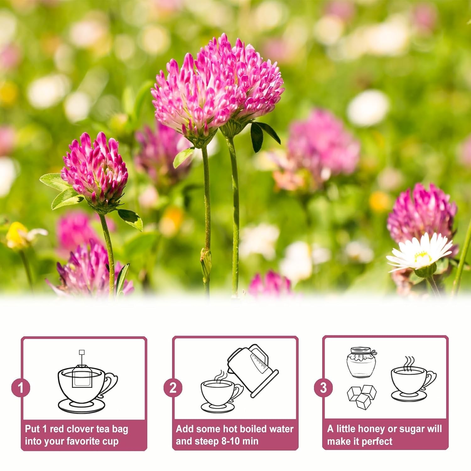 TEARELAE – Red Clover Tea Bags, 40 Count – Premium Natural Red Clover Herb – Caf