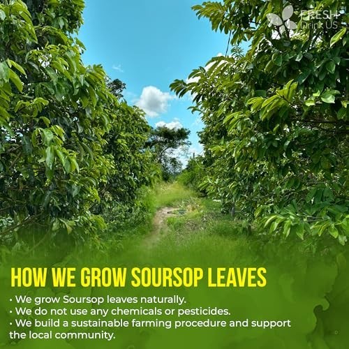 40 Premium Soursop Leaf Tea Bags – 100% Natural, Handmade, Caffeine-Free, Gluten