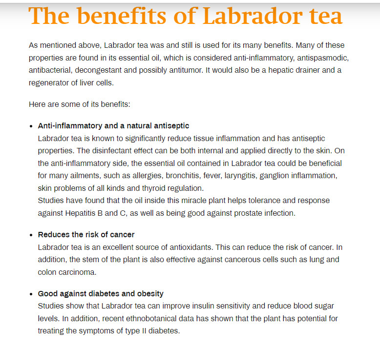 Labrador Tea, All Natural from Quebec, Canada, 2 bag of 100 gram (Total 200gr)