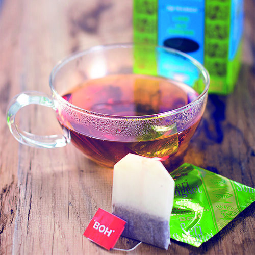 Tea BOH Signature Unique Flavours and Aromas 1 Box x 48 Sachets – DHL