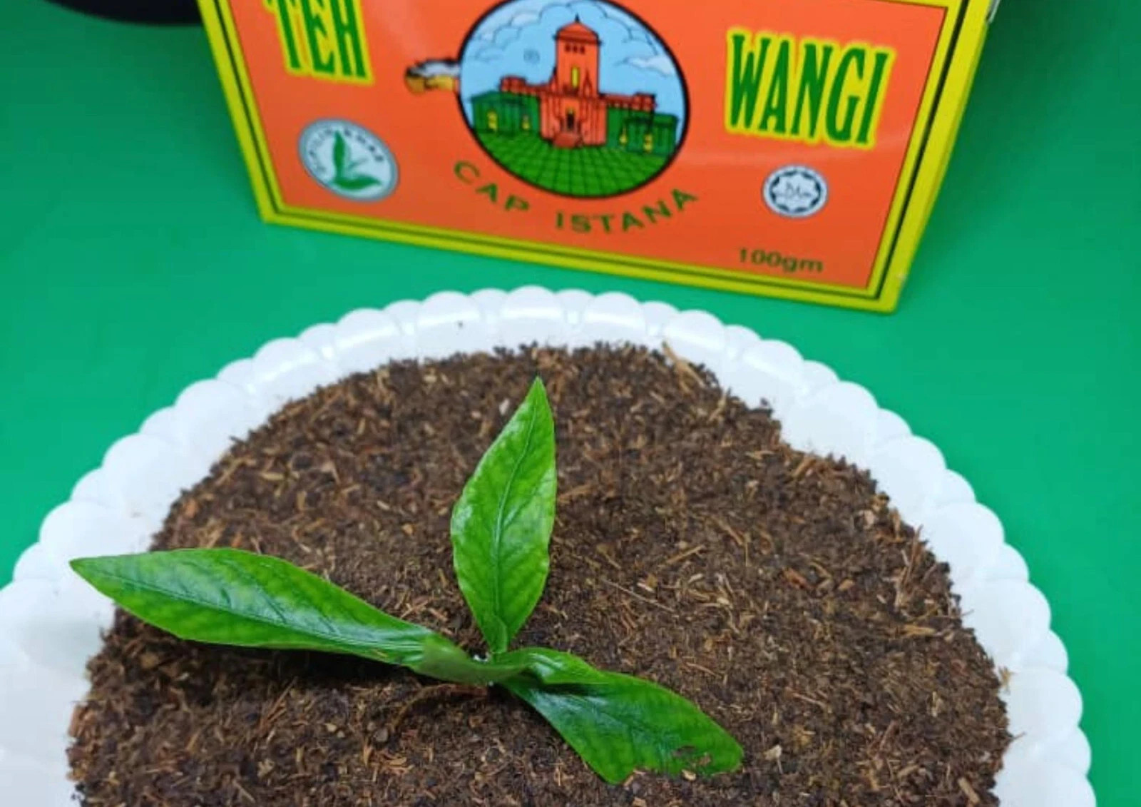 4 Box X 100gram – TEH WANGI CAP ISTANA AROMATIC BLACK TEA DHL EXPRESS