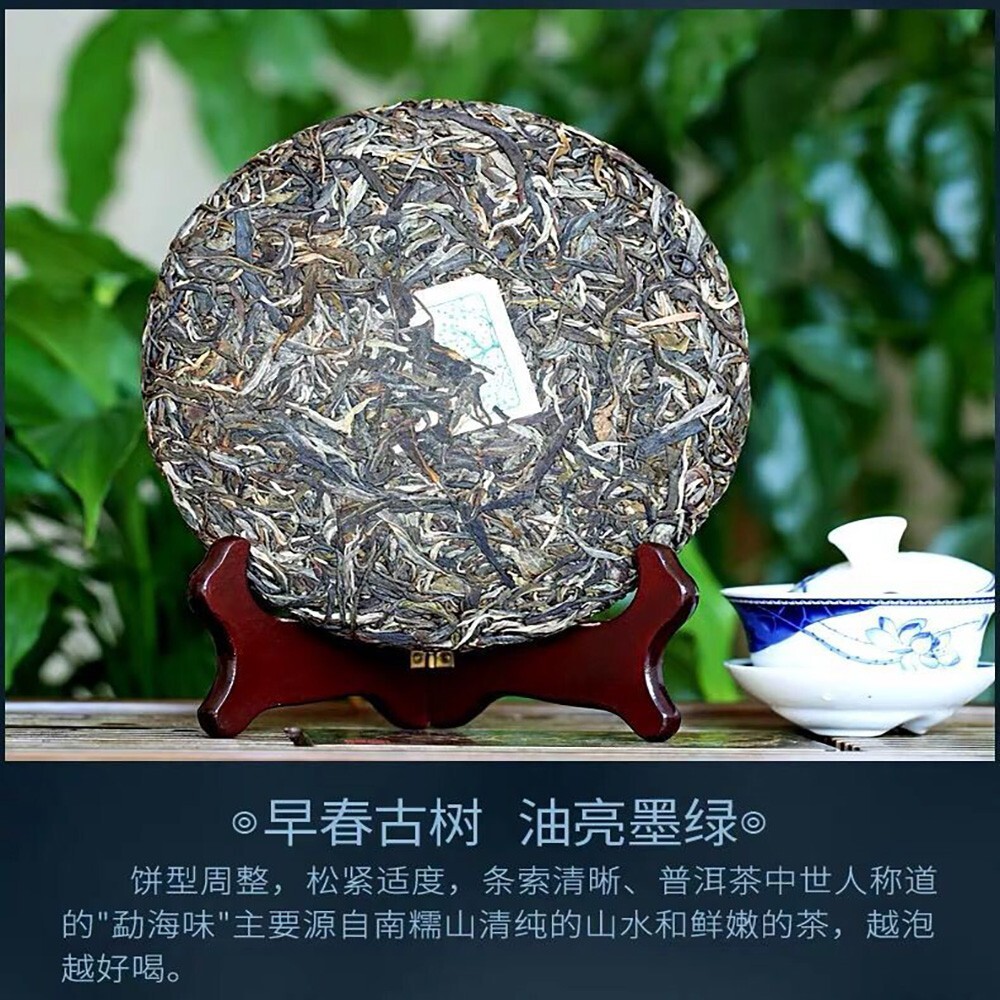 Pu-Erh tea,2020,SHENG JIA YUAN,南糯山 Nannuo Mountain,357g,Raw