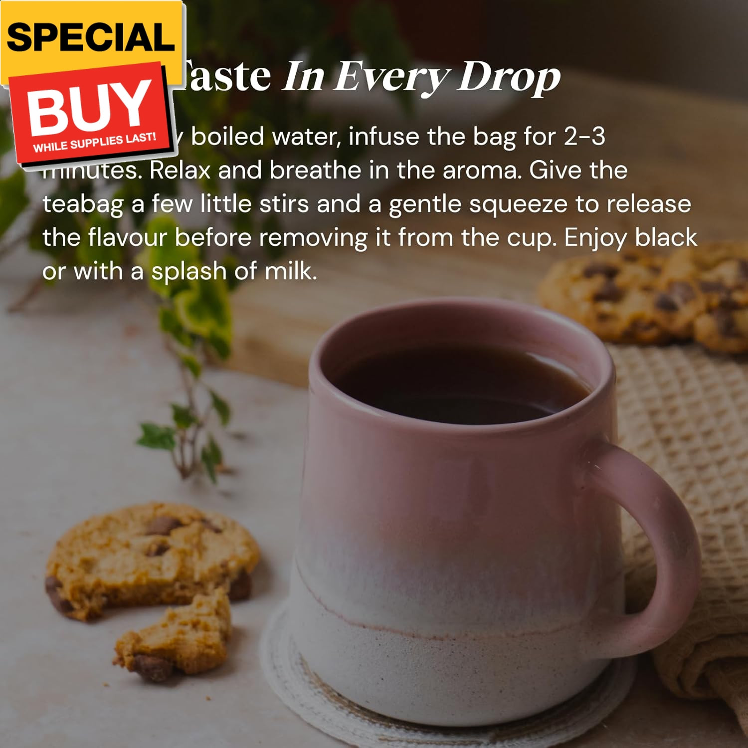 Lady Grey Tea | Bright & Refreshing Black Tea with Zesty Orange | 40 Biodegradab