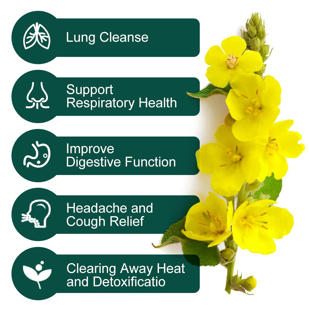 Mullein Leaf Tea Bags – Lungs Cleanse and Respiratory Support, Herbal Teas, Caff