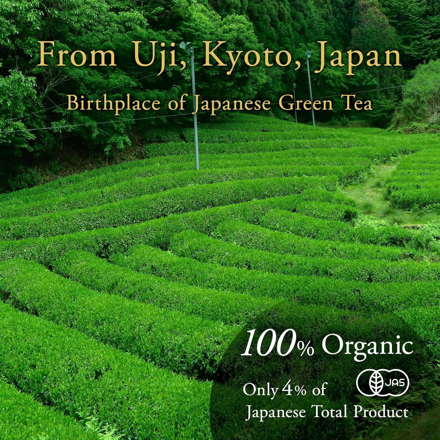 YAMASAN KYOTO UJI Hojicha Powder Organic Roasted Green Tea Baking Powder Latte P