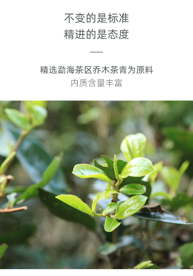 Puer Chun Haiwan Yunnan Chi Tse Beeng Cha Ripe Pu-erh Pu Er Tea Cake 357g