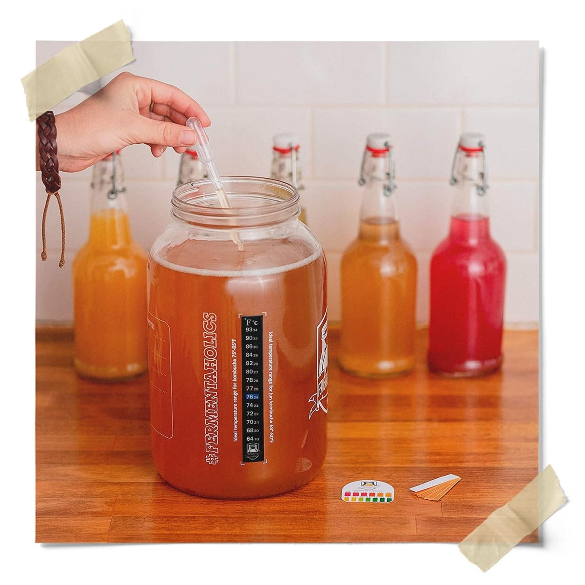 Fermentaholics ORGANIC Kombucha SCOBY With Twelve Ounces of Starter Tea Live…