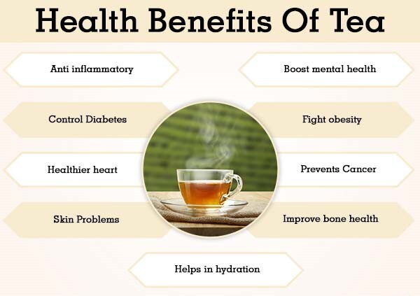 Stassen Organic Pure Ceylon Black Tea 500g Natural Herbal Drink Premium Quality