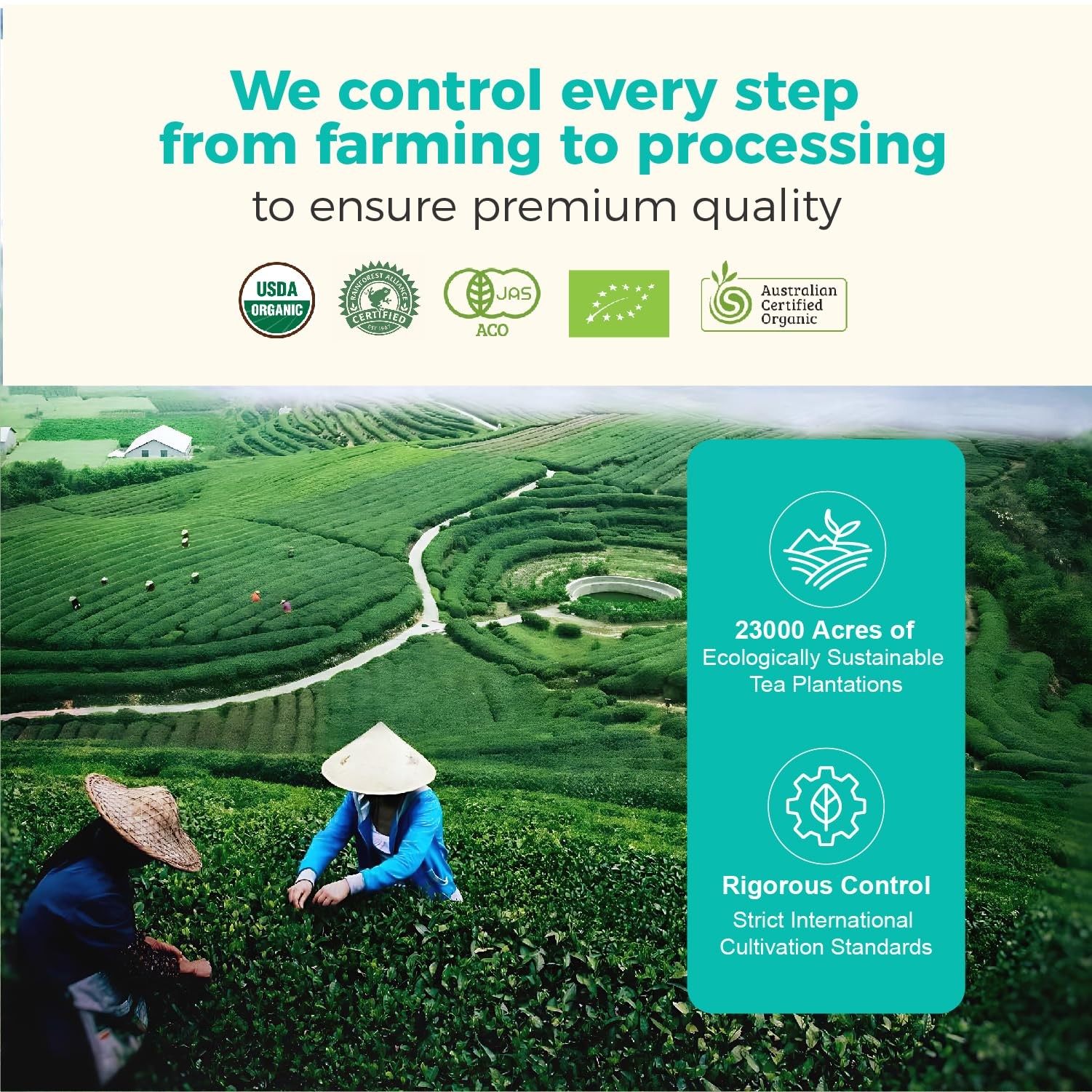 Emerail Organic Ceremonial Grade Matcha, Premium First Harvest Matcha Green T…
