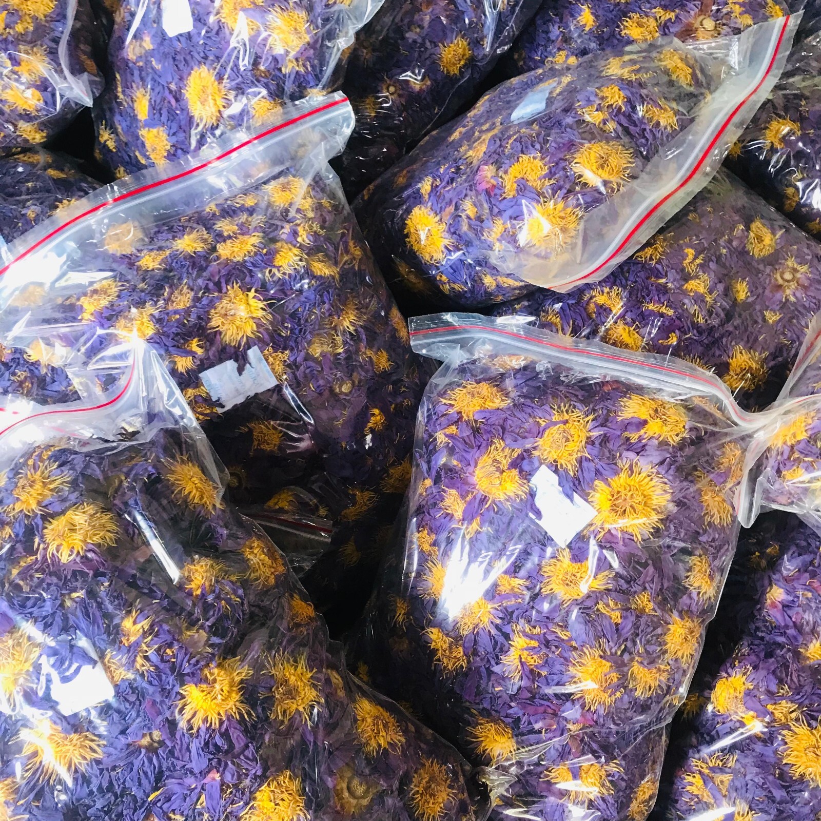 Ceylon Dried Blue Lotus Whole Flowers Nymphaea Caerulea Hand Picked Organic Tea