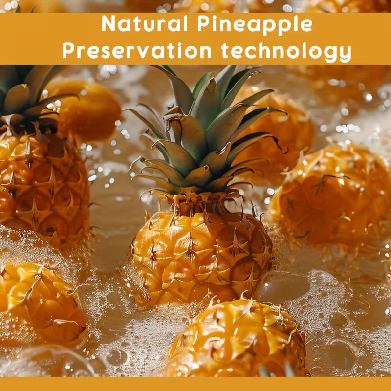 Natural Pineapple Powder Vitamin C Instant Powder Retains Original Flavor