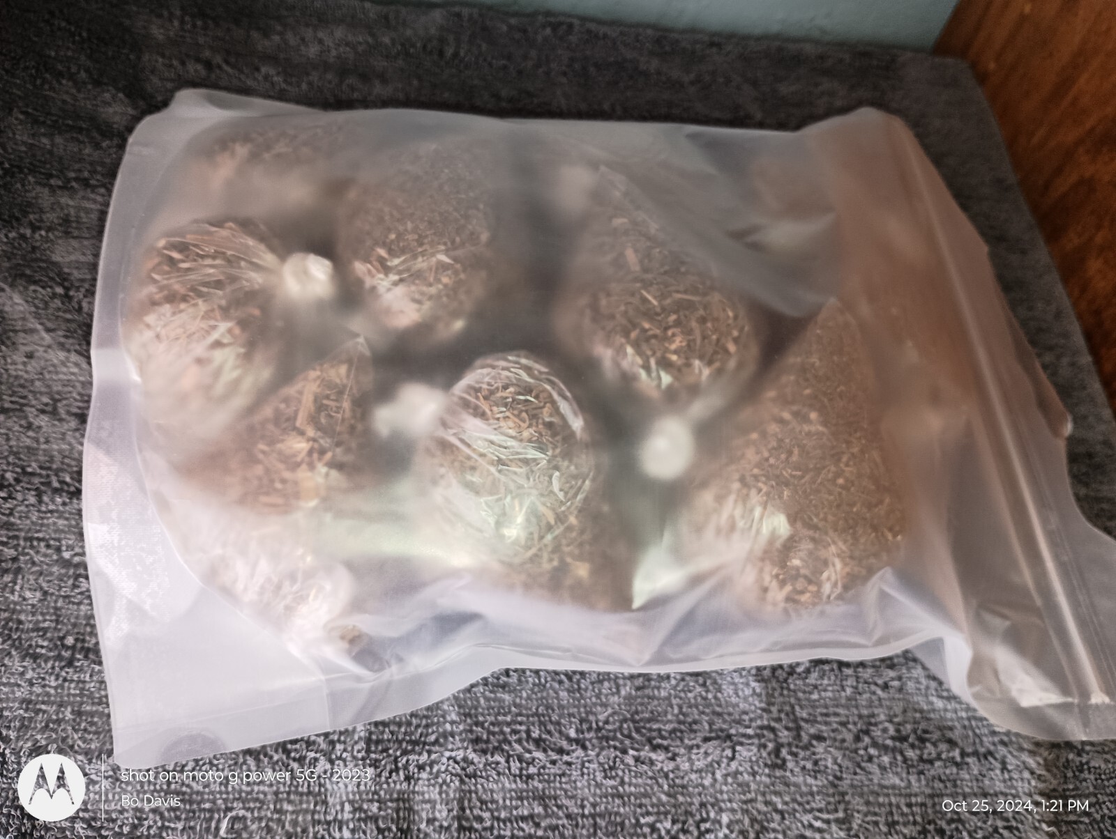 Valerian Root