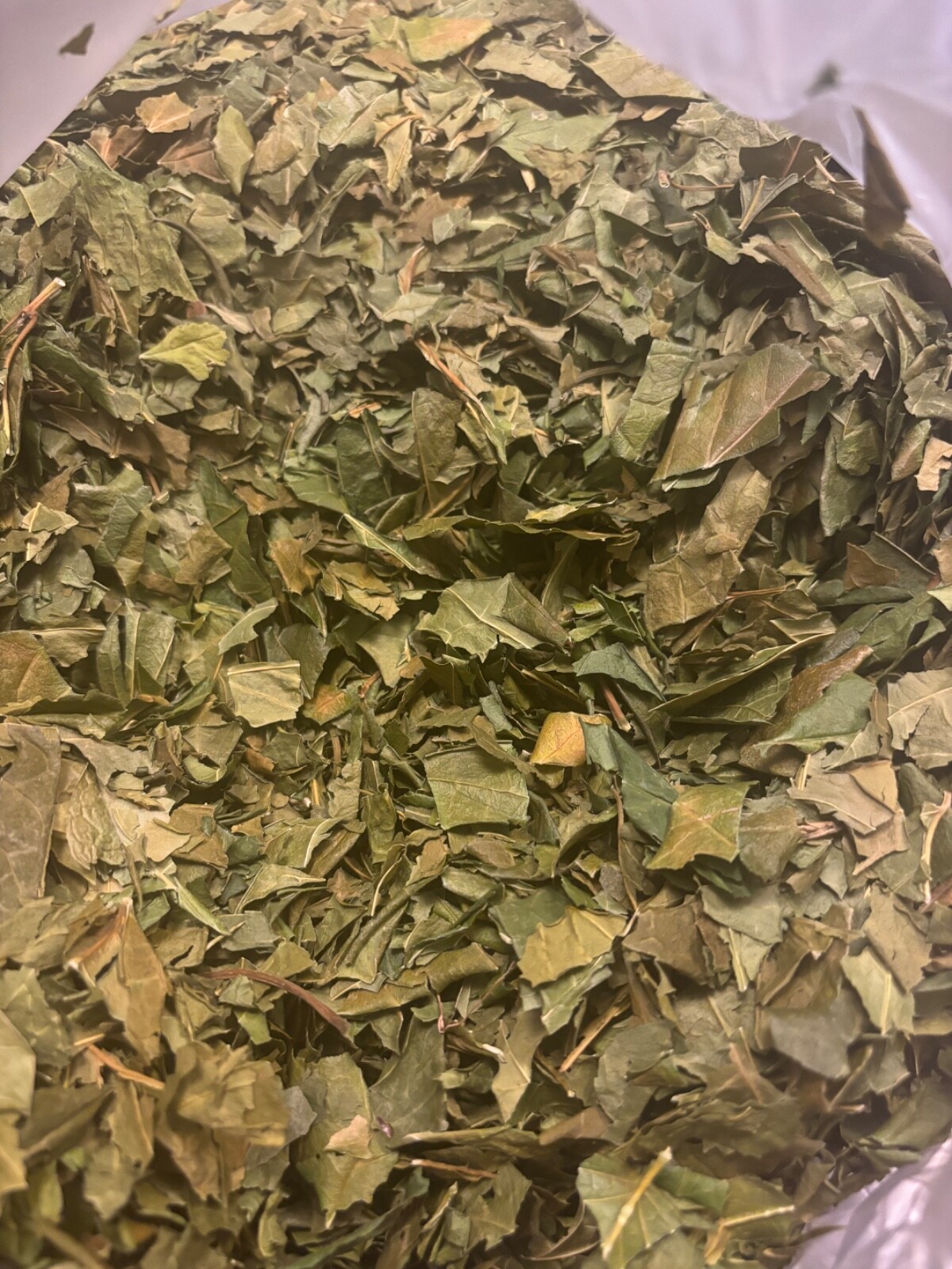 Gymnema Leaf Herb Tea Gymnema Sylvestris Herbal Remedy – 2 oz bag