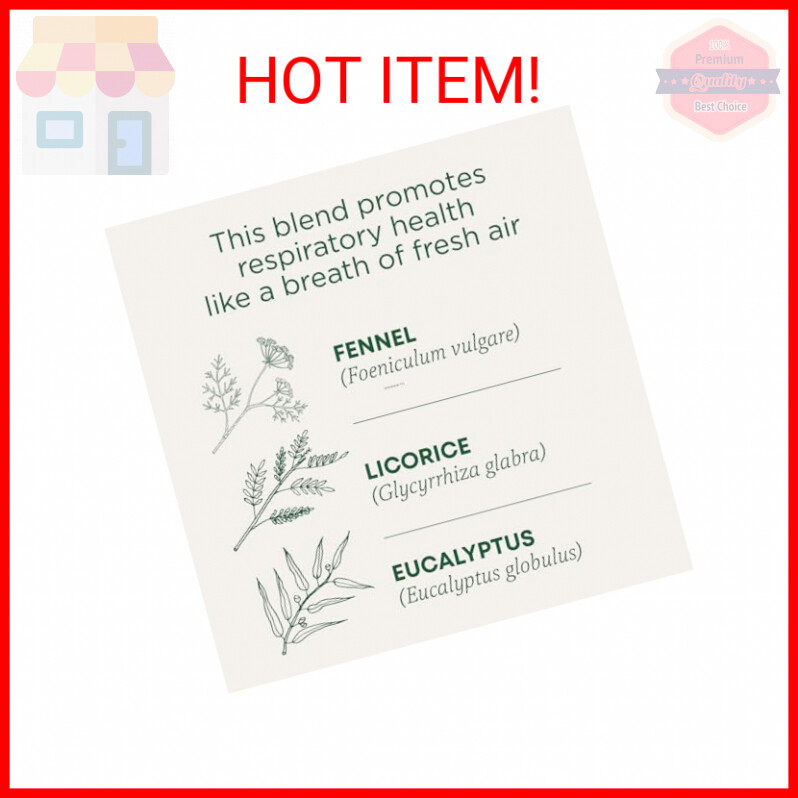 Traditional Medicinals Tea, Organic Breathe Easy, Promotes Respiratory Health, 1