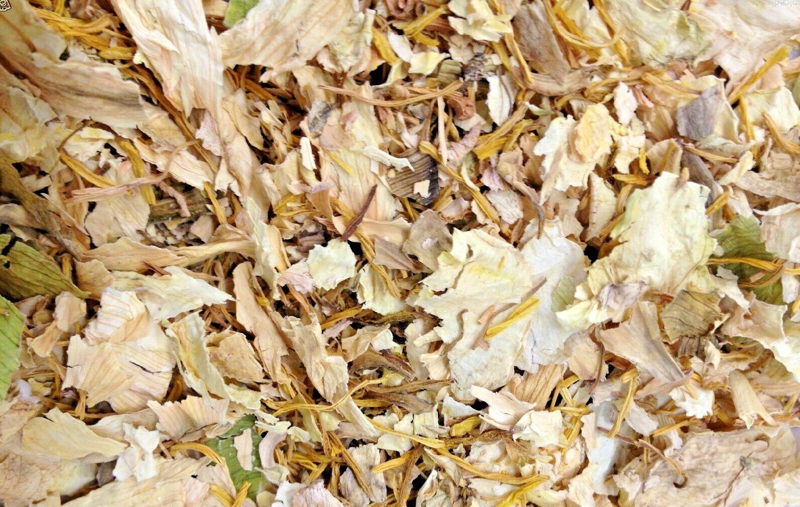 Lily White Lotus Sacred Medicinal Flower Aromatic Divine Spice Discounters
