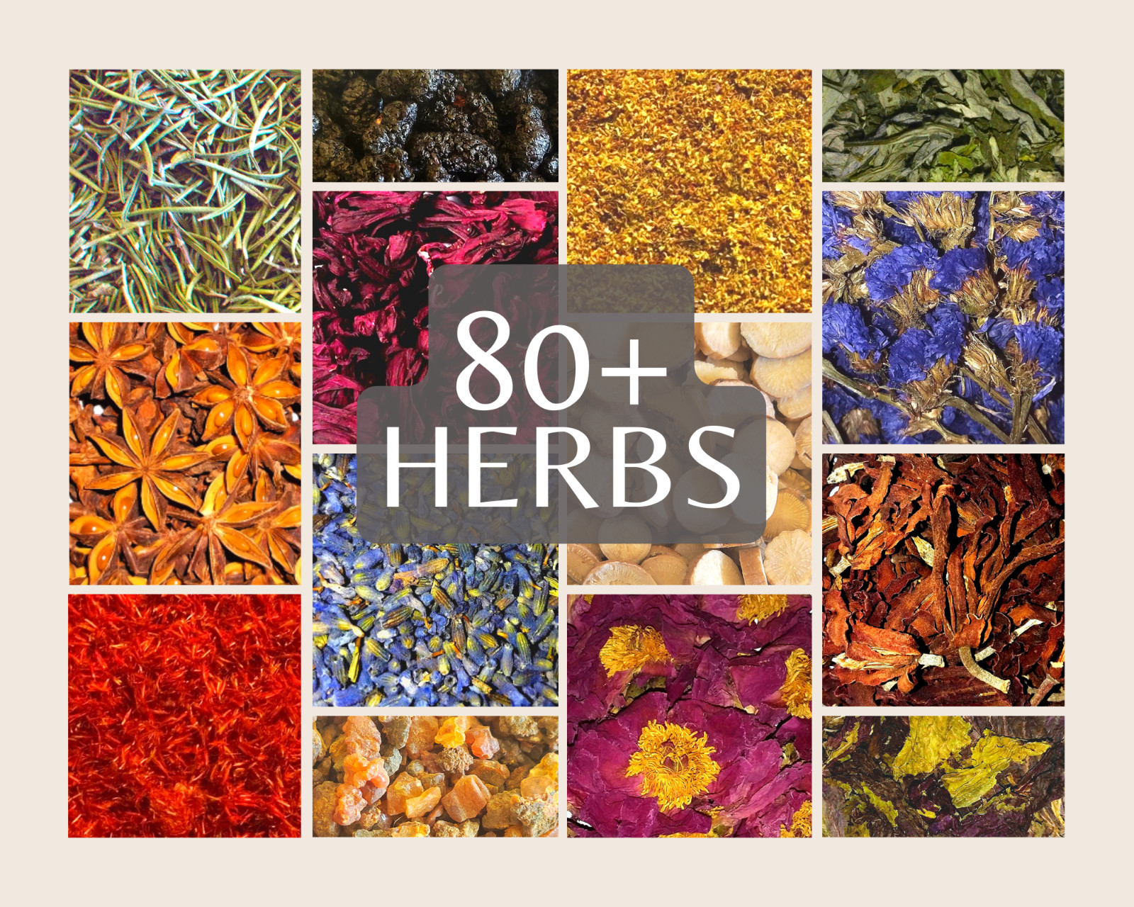BULK DRIED HERBS {L-Z} 4 oz – Loose Botanicals Apothecary Flowers Leaves Roots