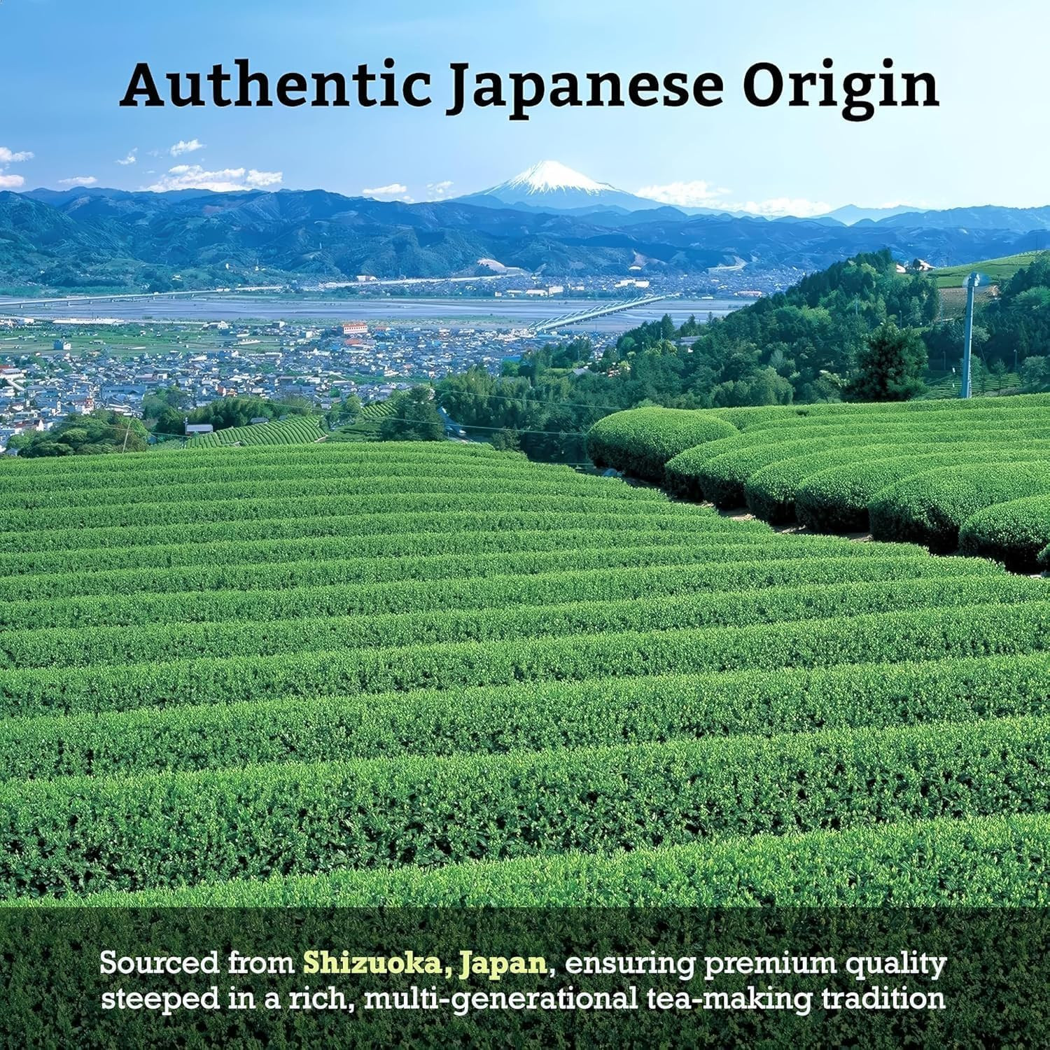 SUGIMOTO TEA Japanese Organic Genmaicha with Matcha Green Tea Bags 12 Count