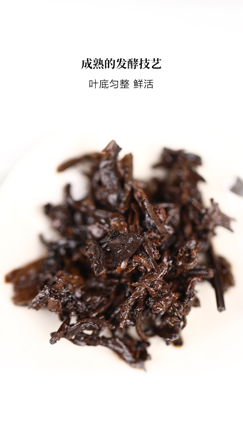 2020 Haiwan Old Comrade Liang Pin Yin Geng Ancient Tree Pu’er Ripe Puer Tea 400g