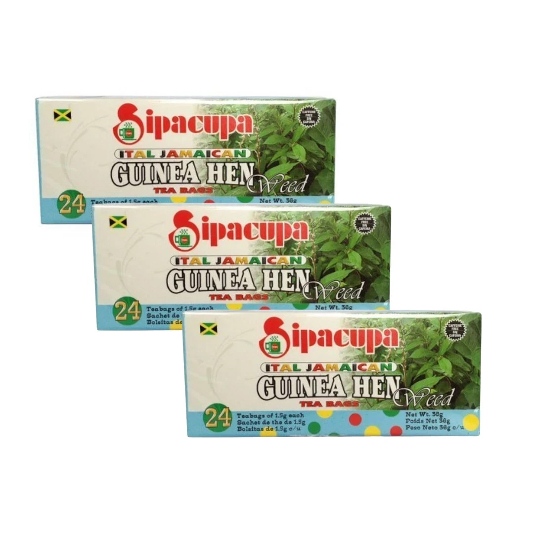 Guinea Hen weed Jamaican Sipacupa tea bags 3 packs