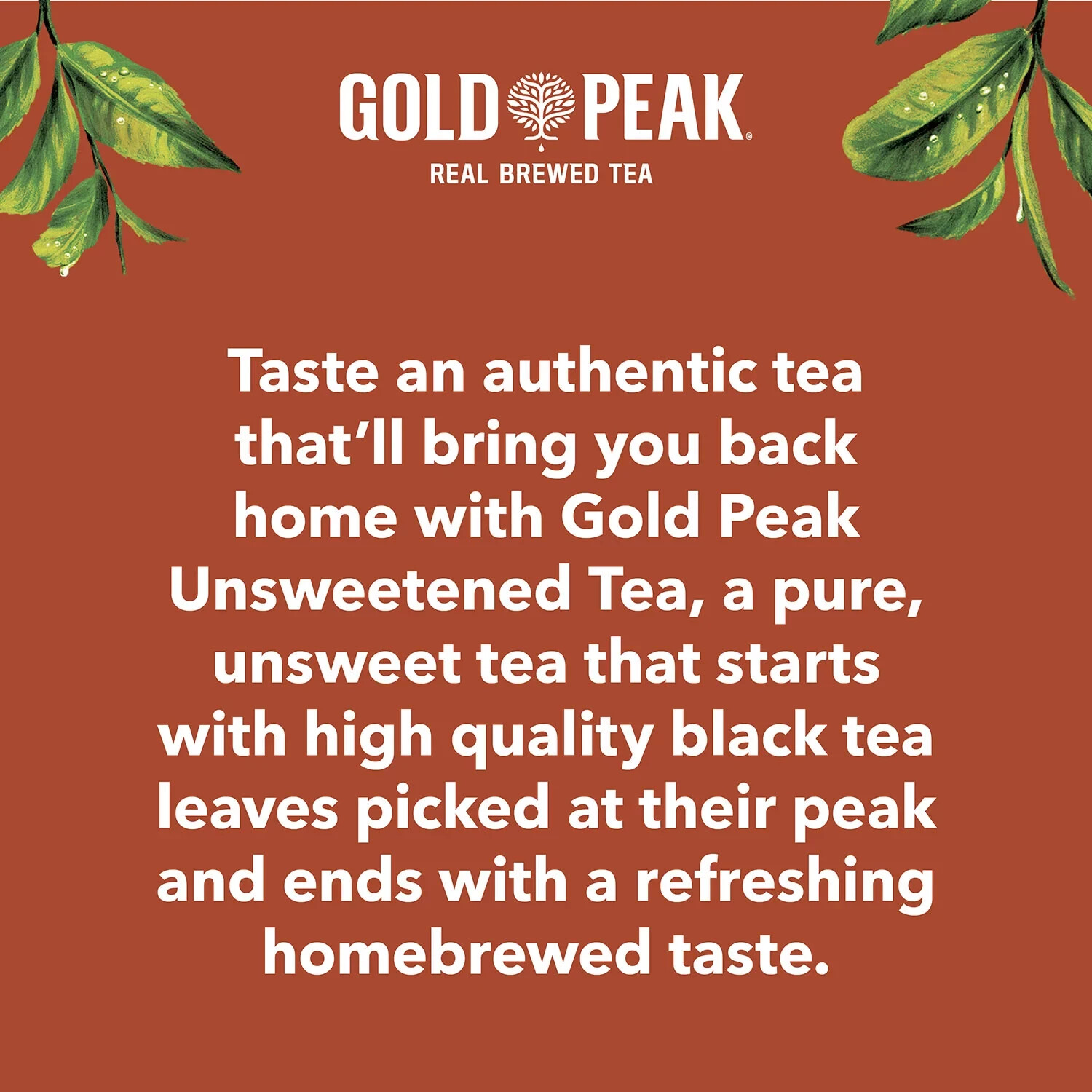 Gold Peak Unsweetened Tea 16.9oz 18-Pack – Zero Calorie Real Brewed