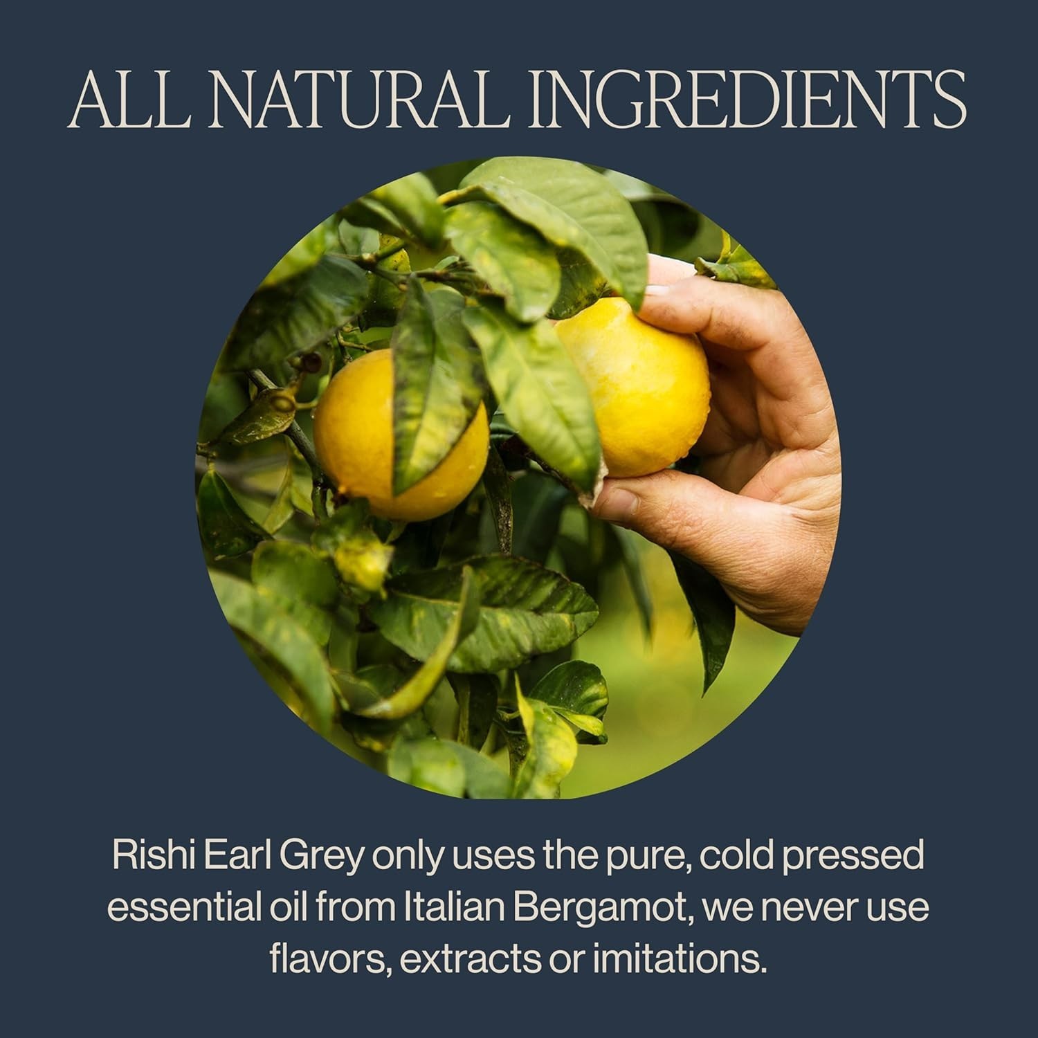 Rishi Tea Earl Grey Tea – Organic Loose Leaf Pure Black Tea with Bergamot Oil, E
