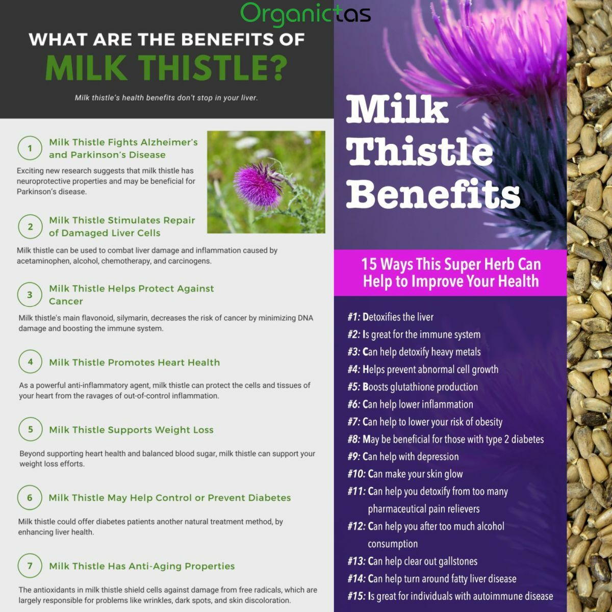 MILK THISTLE SEEDS – Organic for Tea Silybum Marianum Natural Detox 50g-400g BIO