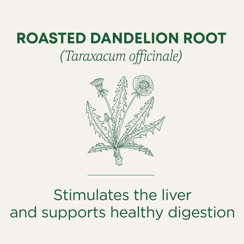 Traditional Medicinals Organic, Roasted, Dandelion Root 16 Count (Pack of 1)