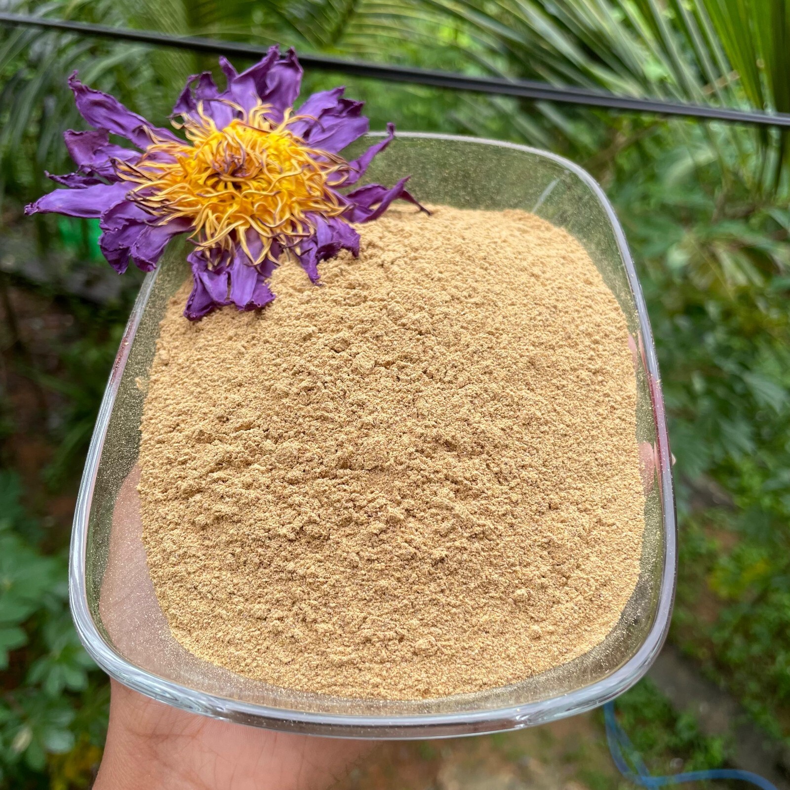 Blue Lotus nymphaea caerulea Flowers Powder 100% Organic Natural Pure Herbal Tea
