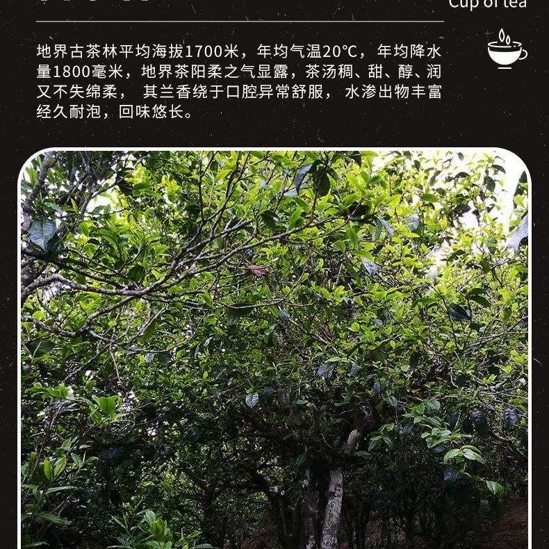 Puerh Ripe Tea Lao Cha Tou Yunnan Pu’er Cooked Tea Old Tree Puer Black Tea 500g