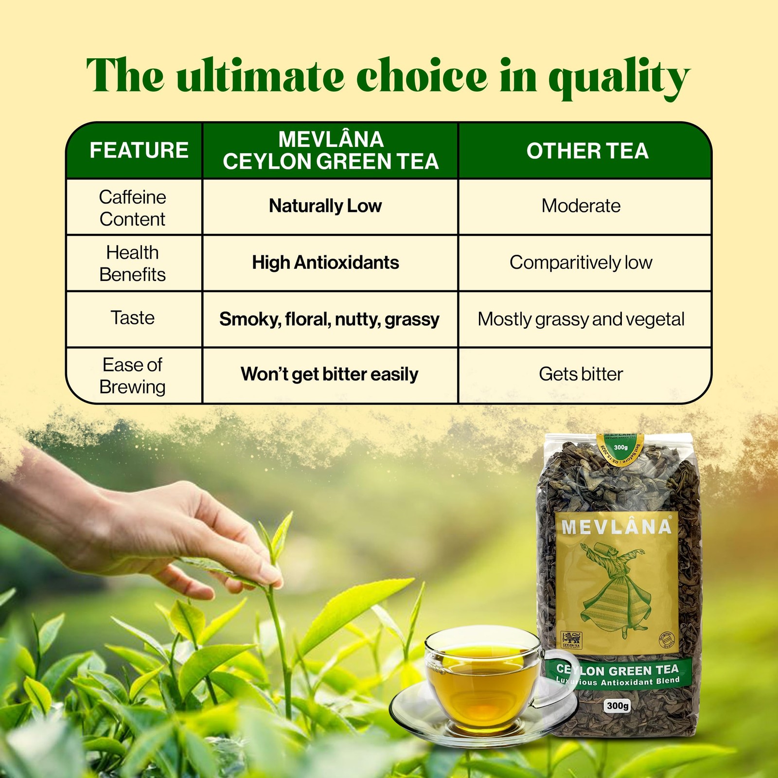 MEVLANA – Ceylon Green Tea | Naturally Low in Caffeine Content | Finest Taste…