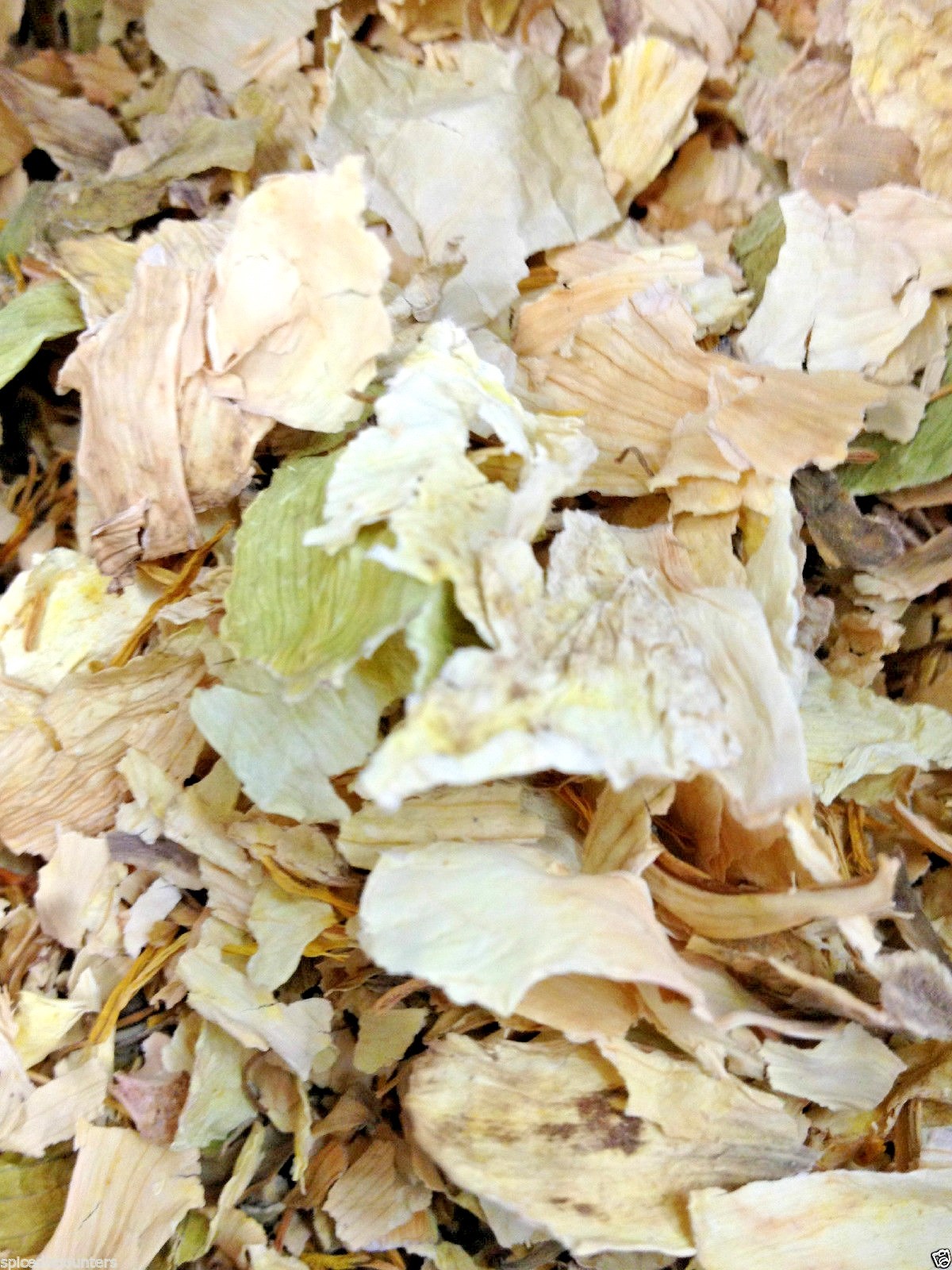 Lily White Lotus Sacred Medicinal Flower Aromatic Divine Spice Discounters