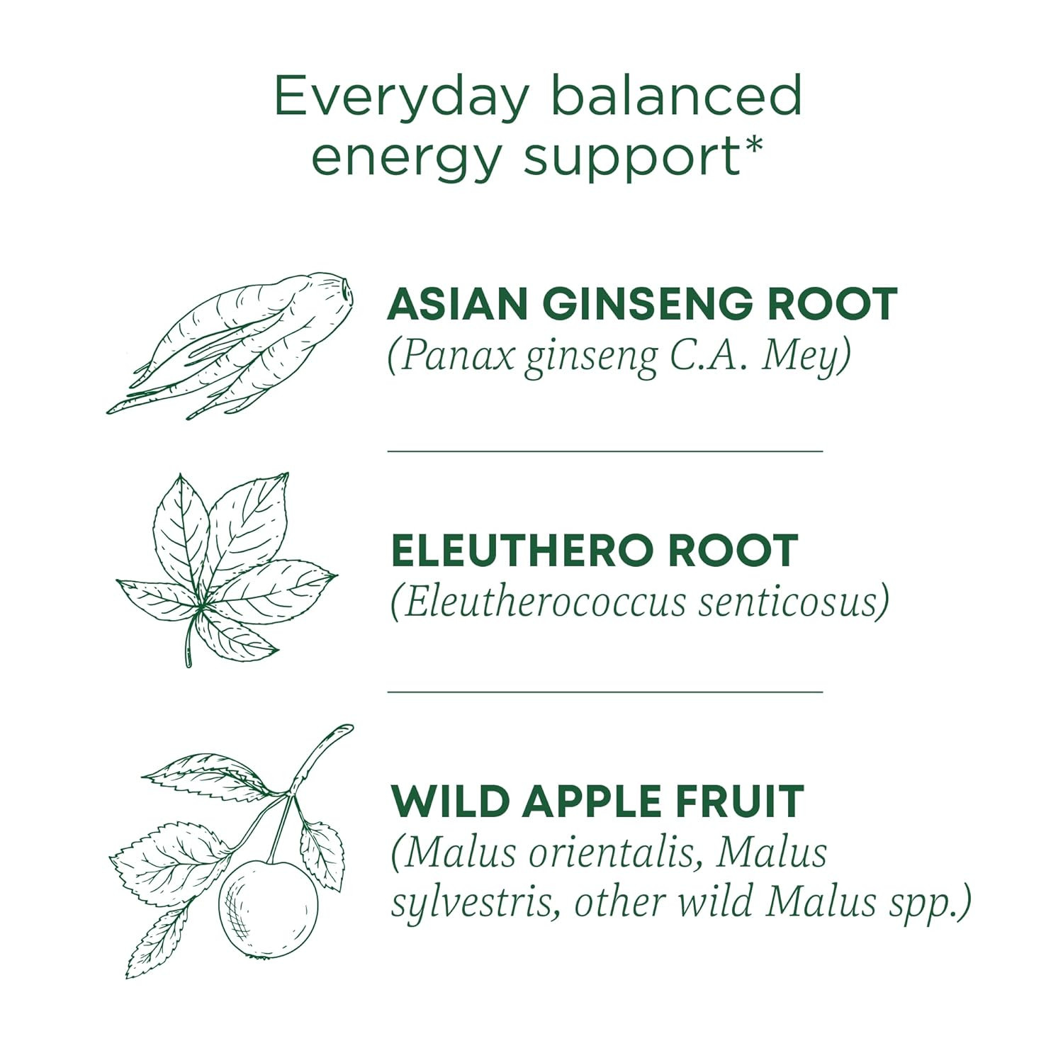 Traditional Medicinals Tea, Organic Stress Ease Focus, with Adaptogens, Everyday