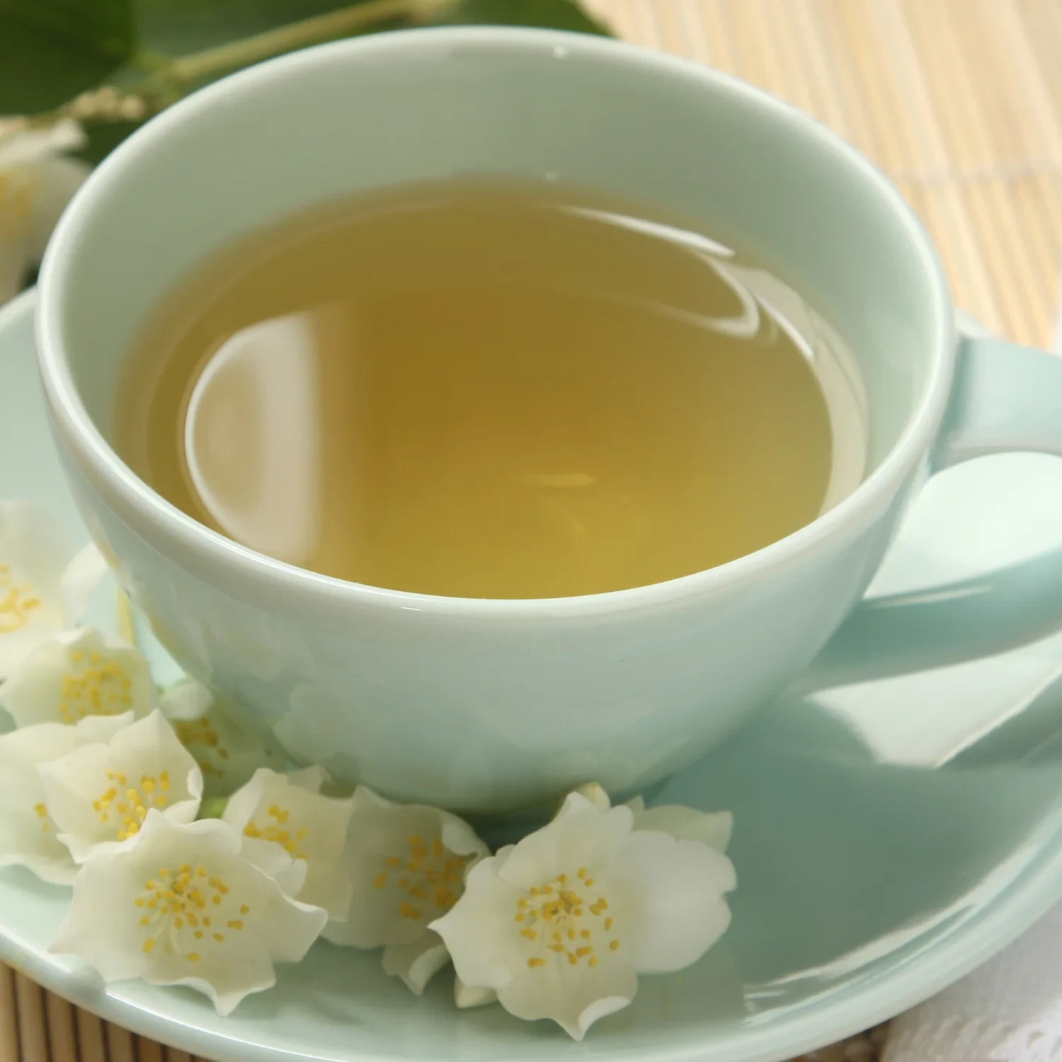 SPROUTING Chinese Jasmine Tea 100 Tea Sachets 7.05 Ounces (200 G)