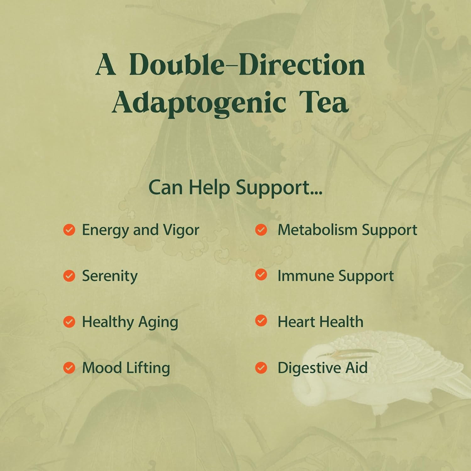 Dragon Herbs Spring Dragon Longevity Tea – Adaptogenic Gynostemma Leaf Herbal Te