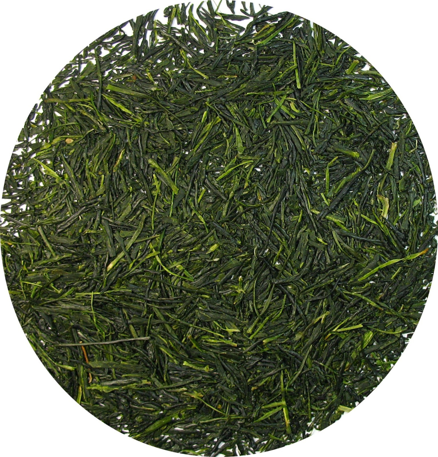 Greenhilltea Premium Gyokuro Japanese Green Tea loose leaf 1 LB