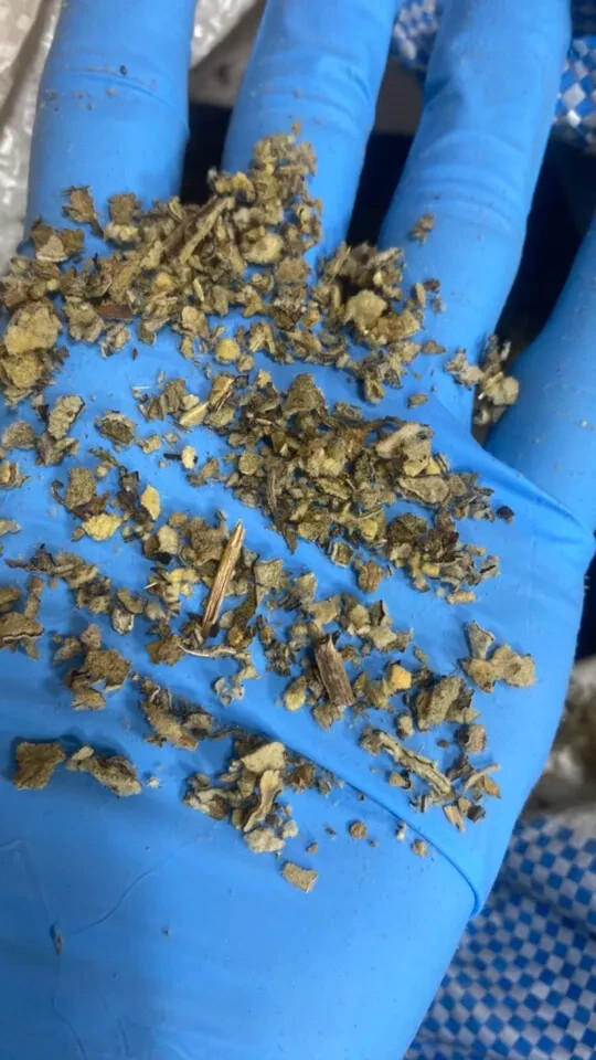 Mullein Leaf – Bulk c/s organic medicinal lung herb – Wholesale – 5 lbs Pounds